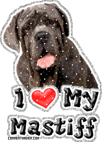 I Love My Mastiff picture