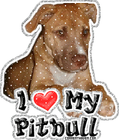 I Love My Pit Bull picture