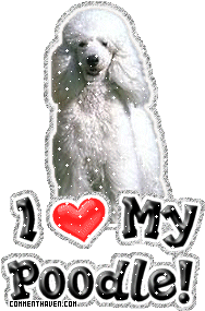 I Love My Poodle picture