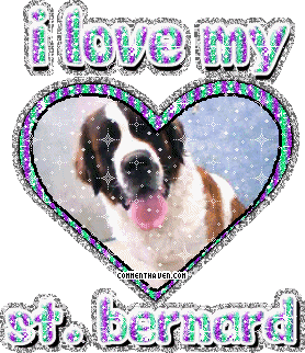 I Love My Saint Bernard picture
