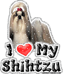 I Love My Shihtzu picture