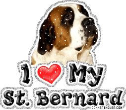 I Love My St Bernard picture
