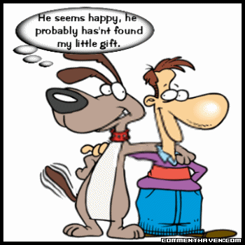 Pet picture