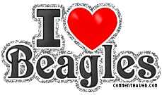 Y I Love Beagles picture