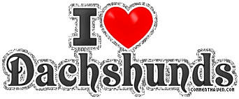Y I Love Dachshunds picture