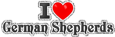 Y I Love German Shepherds picture