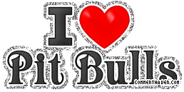 Y I Love Pit Bulls picture