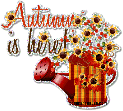 Fall picture