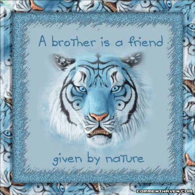 Family Brother