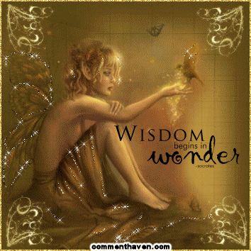 Wisdom Begins With Wonder Fantasy picture for facebook