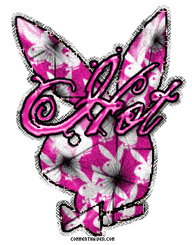 Hot Playboy Bunny picture