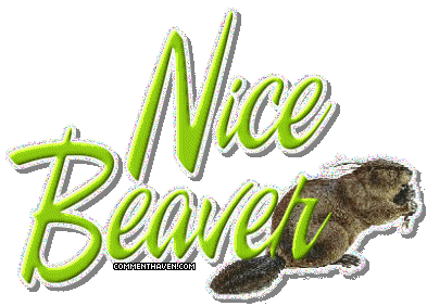 Nice Beaver picture for facebook