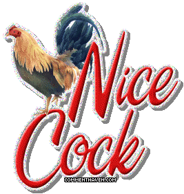Nice Cock picture for facebook