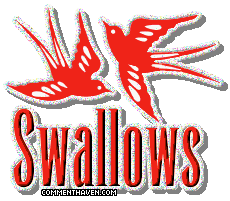 Swallows picture for facebook