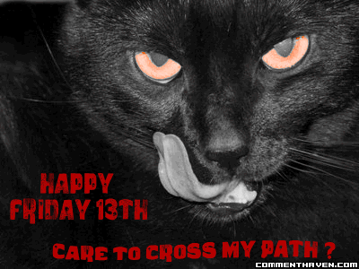 Black Cat Fridayth picture