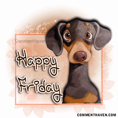 Fri picture