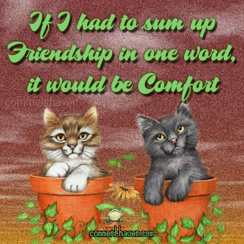 Friendship Comfort picture
