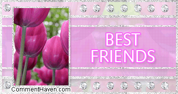 Sparkle Flower Best Friend comment