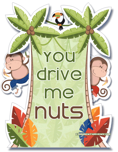 Drive Me Nuts picture for facebook