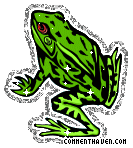 Frog picture for facebook
