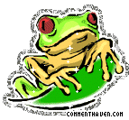 Frog picture for facebook