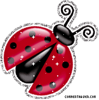 Ladybug picture for facebook