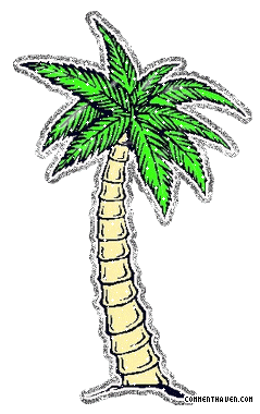 Palmtree picture for facebook