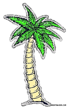 Palmtree picture