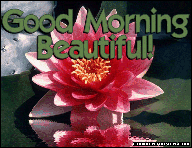 Gm picture