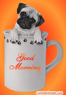 Gm picture