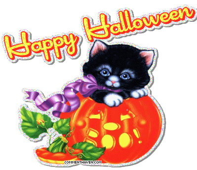 Cat Halloween picture