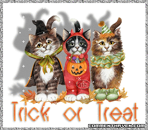 Halloween picture