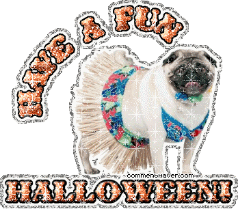 Halloween picture