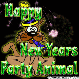 Newyears picture