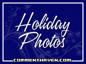 Mini  Holiday Photos picture