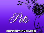 Mini  Pets picture
