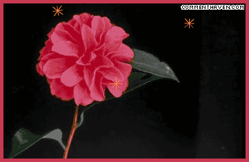 Hi picture