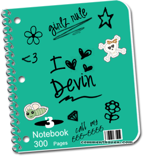 Devin Notebook picture