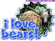 I Love Bears picture