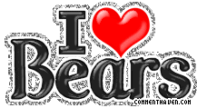 I Love Bears picture