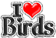 I Love Birds picture for facebook