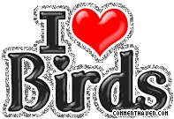 I Love Birds picture