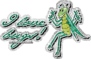 I Love Bugs picture