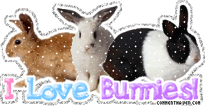 I Love Bunnies picture