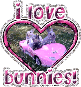 I Love Bunnies picture for facebook