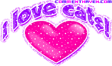 I Love Cats picture
