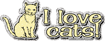 I Love Cats picture