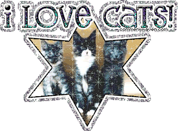 I Love Cats picture