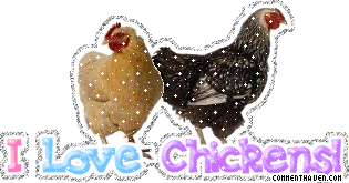 I Love Chickens picture for facebook