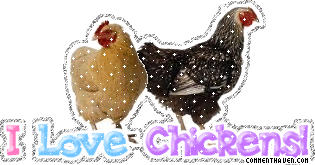 I Love Chickens picture